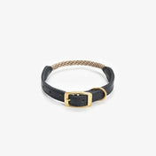 Dog collar with string "Caviar Terra"