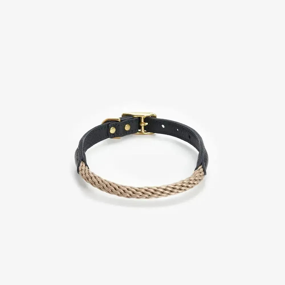 Dog collar with string "Caviar Terra"