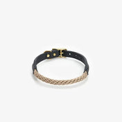 Dog collar with string "Caviar Terra"