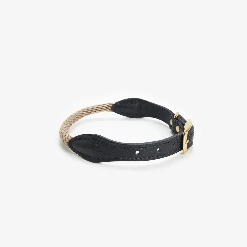 Dog collar with string "Caviar Terra"