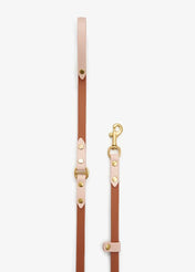 Dog leash "BioThane" - light brown with powder