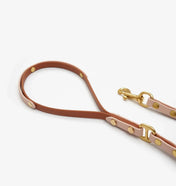 Dog leash "BioThane" - light brown with powder