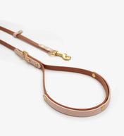 Dog leash "BioThane" - light brown with powder