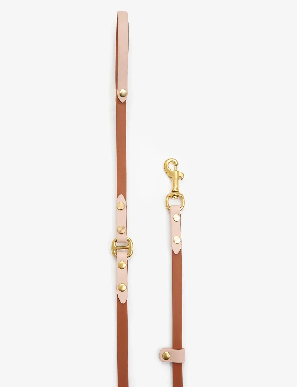 Dog leash "BioThane" - light brown with powder