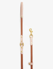 Dog leash "BioThane" - light brown with powder