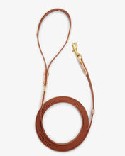 Dog leash "BioThane" - light brown with powder