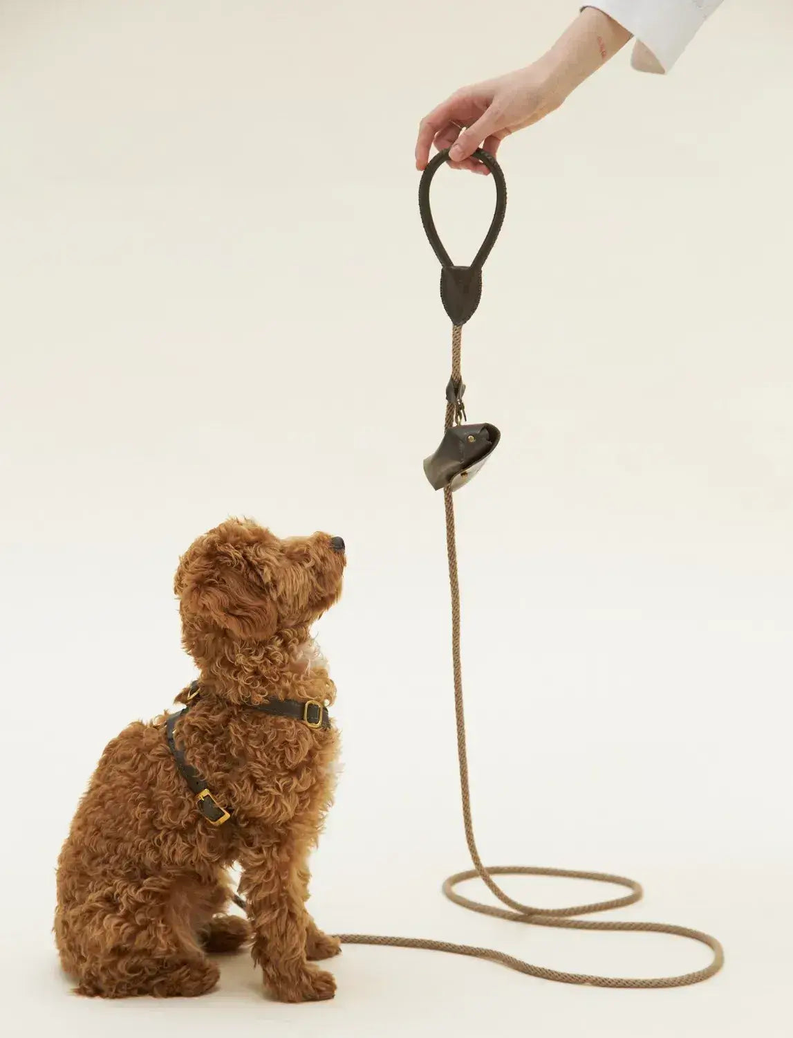 Luxury Classy dog leash olive with beige rope - handmade, premium