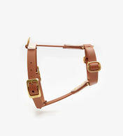 Dog harness "BioThane" guard - light brown with powder