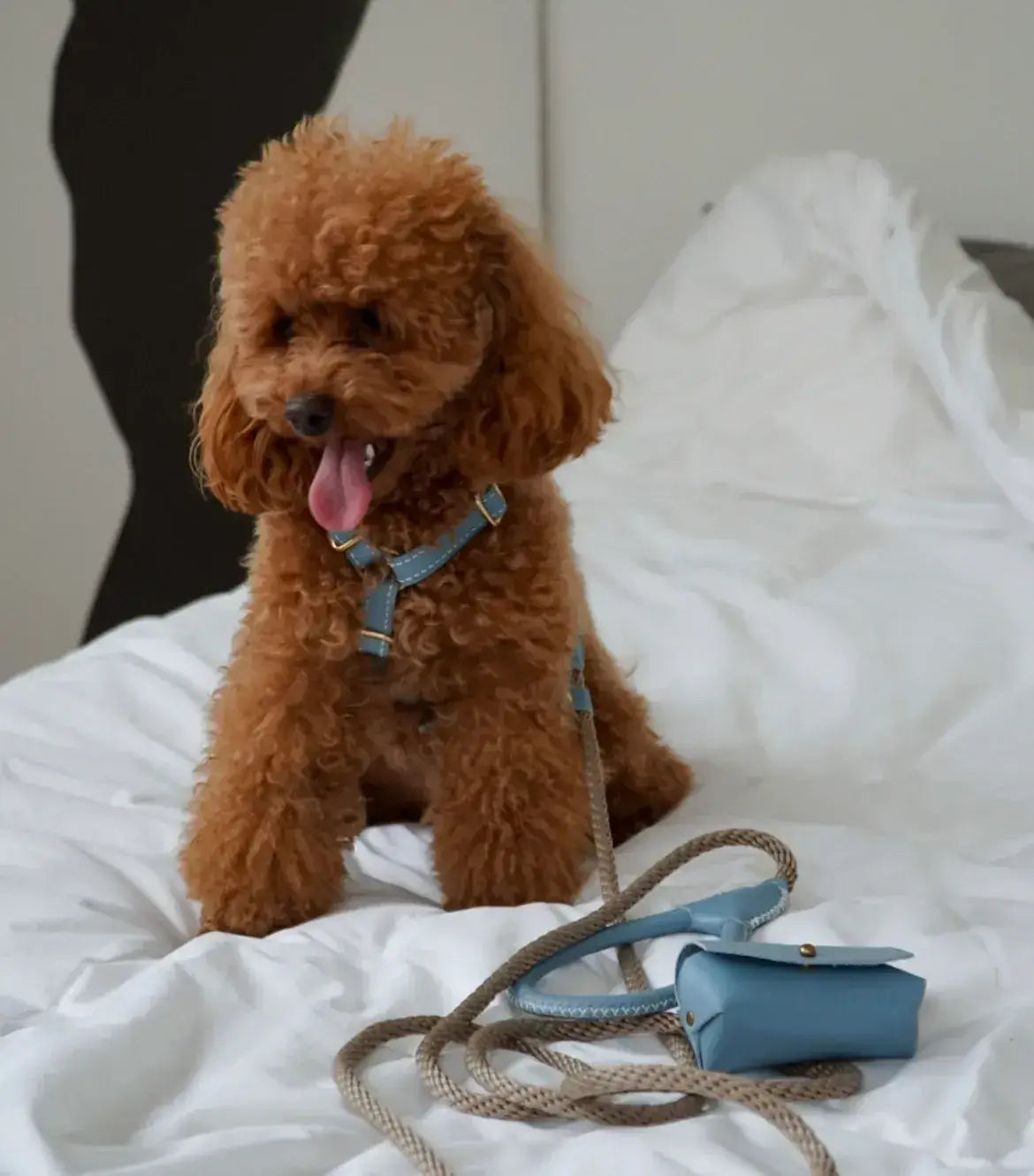 Classy luxury dog harness - handcrafted from premium Italian leather