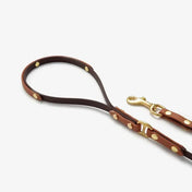 Dog leash "BioThane" - dark brown with red