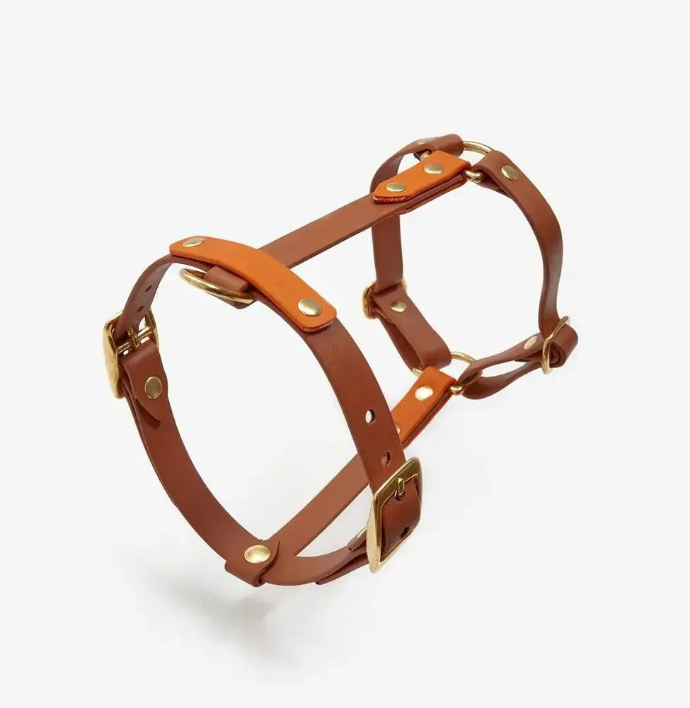 Dog harness "BioThane" guard - light brown with orange
