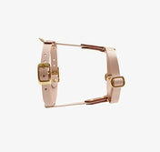 Dog harness "BioThane" guard - powder red