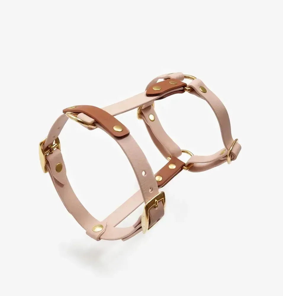 Dog harness "BioThane" guard - powder red