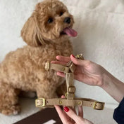 Caviar luxury harness beige - handcrafted from Italian premium leather