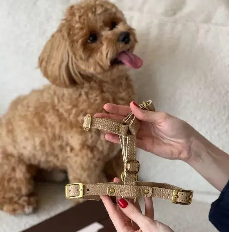 Caviar luxury harness beige - handcrafted from Italian premium leather