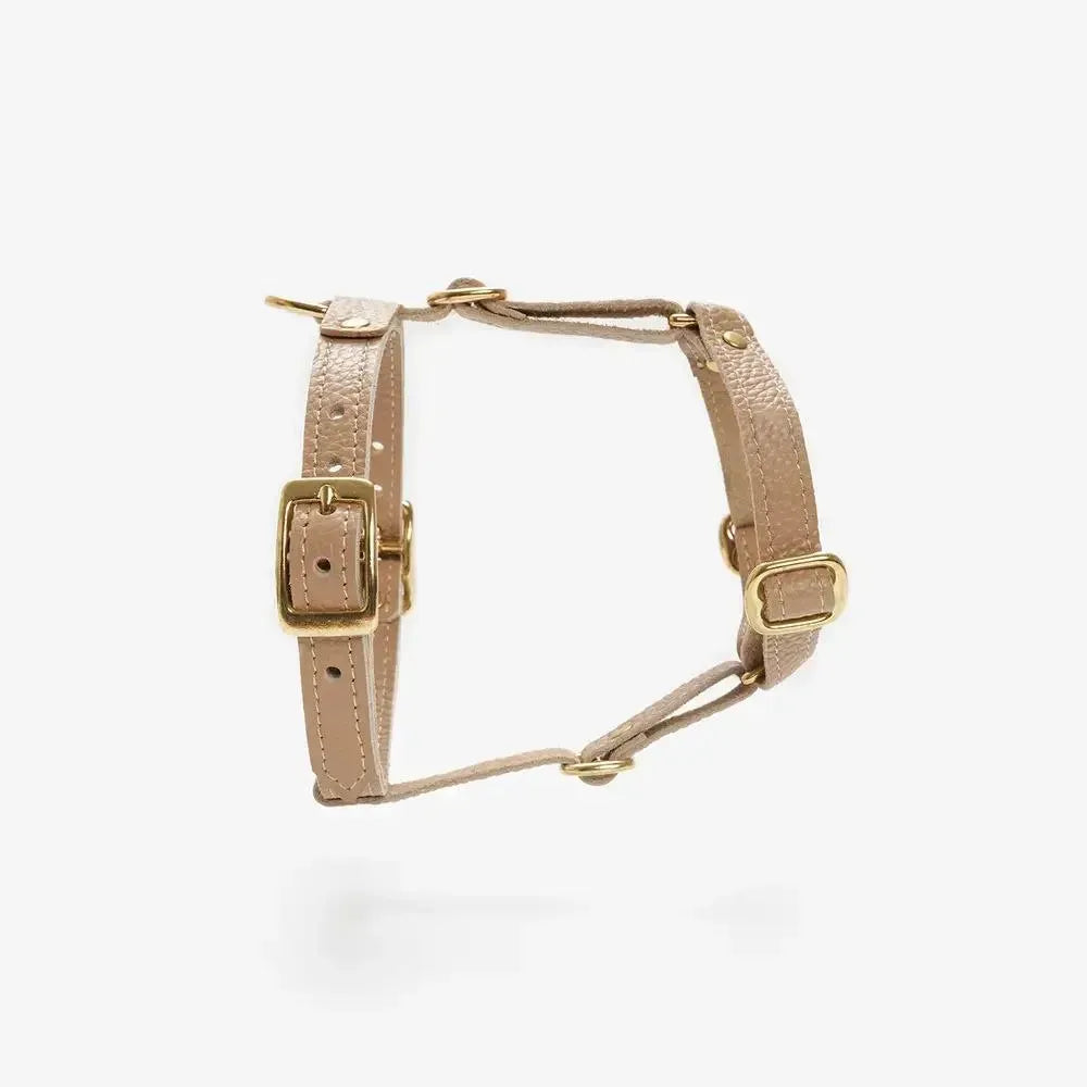 Caviar luxury harness beige - handcrafted from Italian premium leather