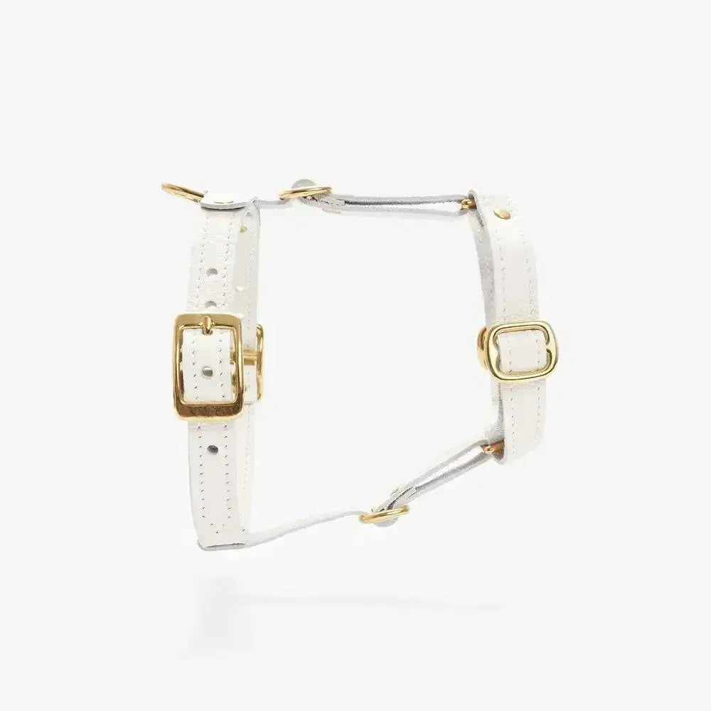 Classy luxury dog harness - handcrafted from premium Italian leather