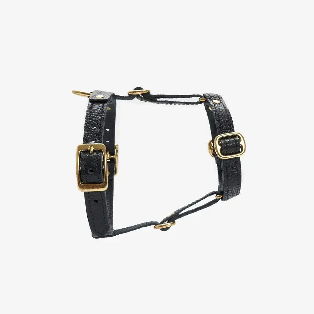 Caviar luxury harness - handcrafted from premium Italian leather