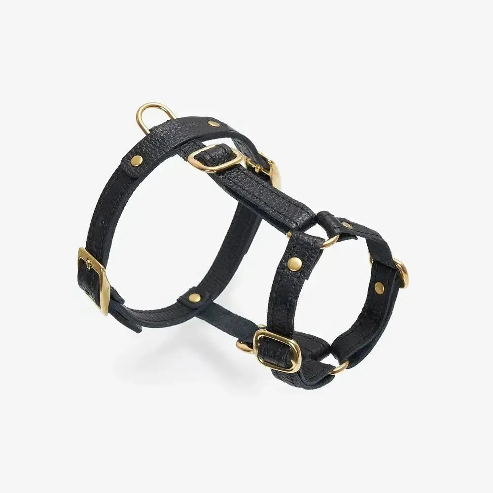 Caviar luxury harness - handcrafted from premium Italian leather