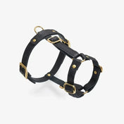 Caviar luxury harness - handcrafted from premium Italian leather