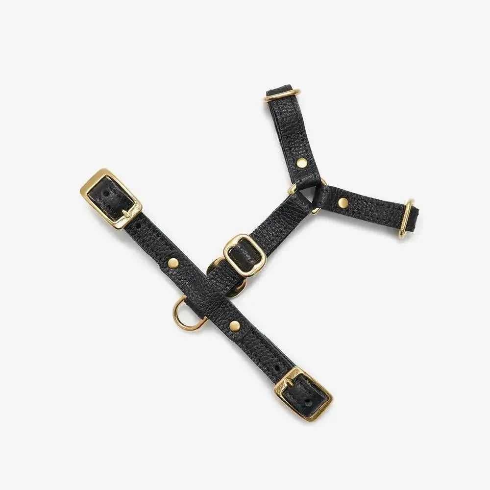Caviar luxury harness - handcrafted from premium Italian leather