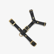 Caviar luxury harness - handcrafted from premium Italian leather