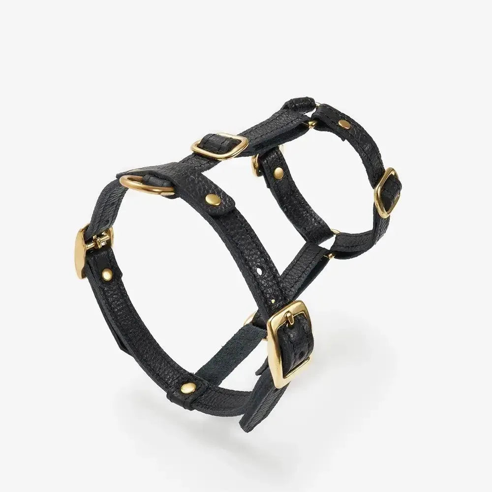 Caviar luxury harness - handcrafted from premium Italian leather