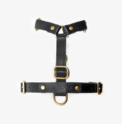 Classy luxury harness - handcrafted from premium Italian leather