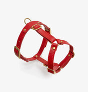 Luksusowe szelki dla psa Classy – ręcznie robione z włoskiej skóry, premium