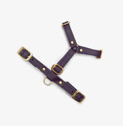 Classy luxury dog harness - handcrafted from premium Italian leather
