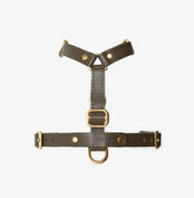 Luksusowe szelki dla psa Classy – ręcznie robione z włoskiej skóry, premium