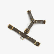 Luksusowe szelki dla psa Classy – ręcznie robione z włoskiej skóry, premium