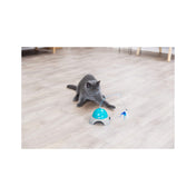 Zabawka dla kota Catch Me z pilotem, zdalnie sterowana