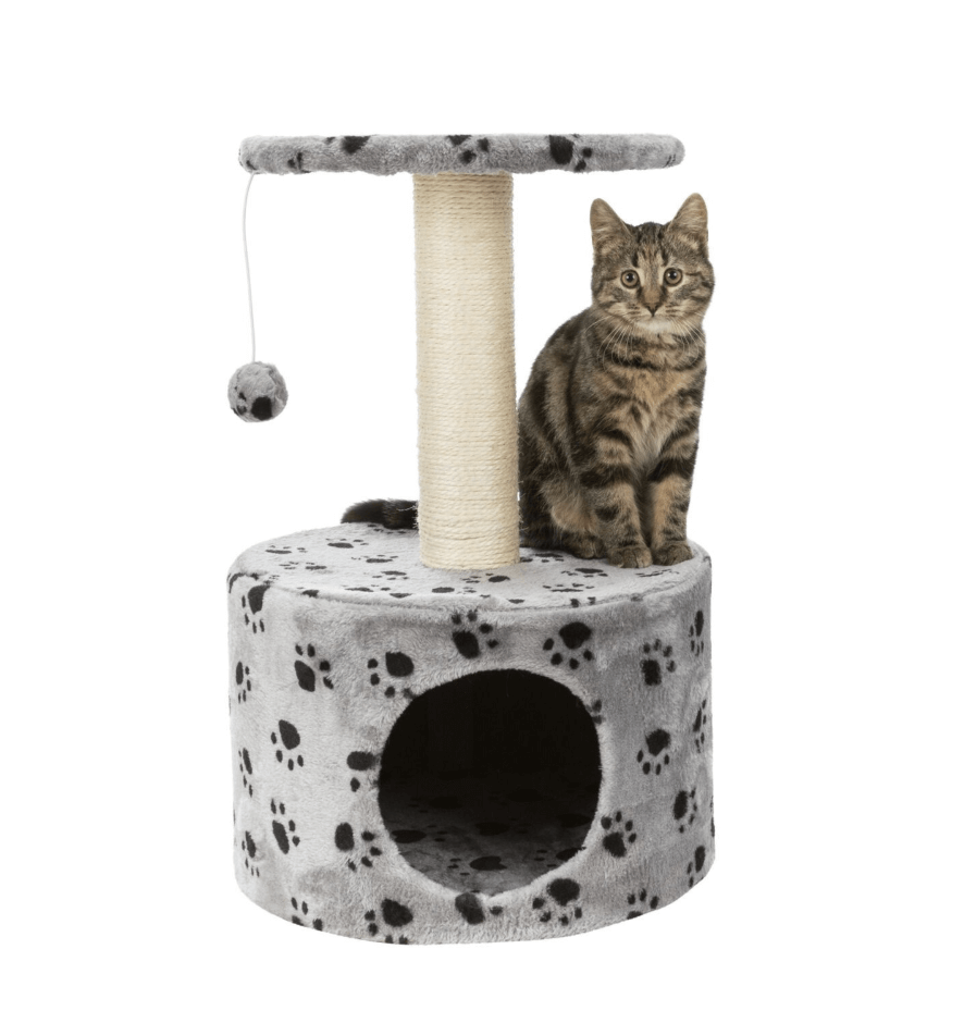 Toledo JUNIOR scratching post for cats 61 cm - with bed