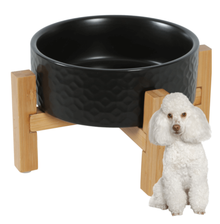 ZOLUX KERAMO SOLO ceramic bowl black 300 ml
