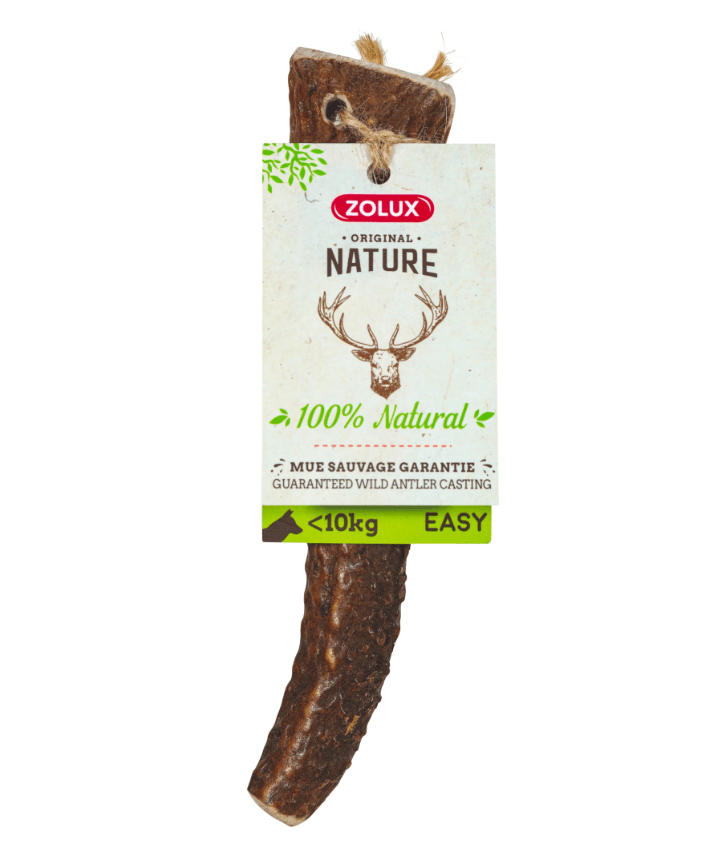Zolux Deer Easy antlers for a dog up to 10 kg - natural teether