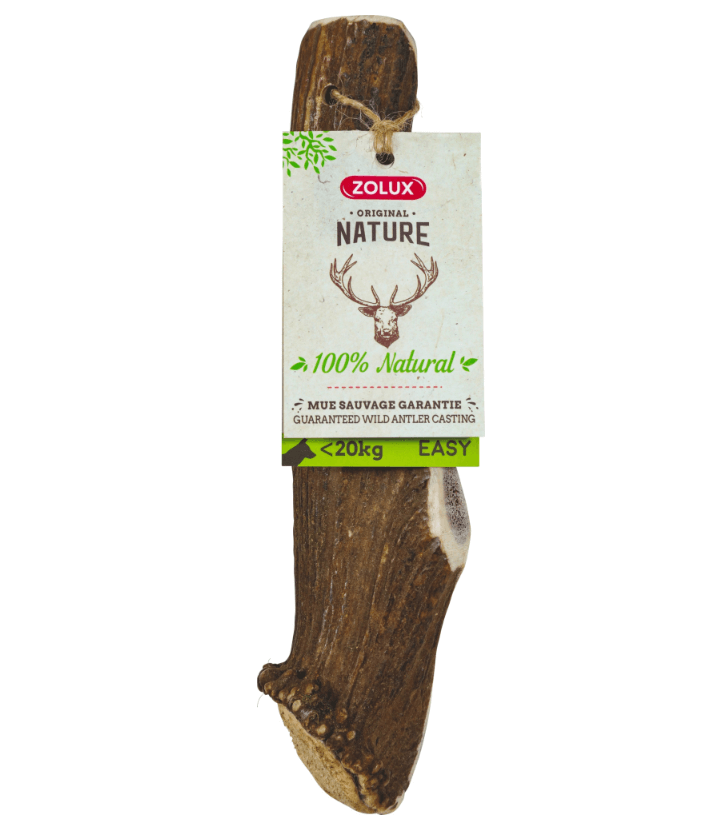Zolux Deer Easy antlers for a dog up to 20 kg - natural teether