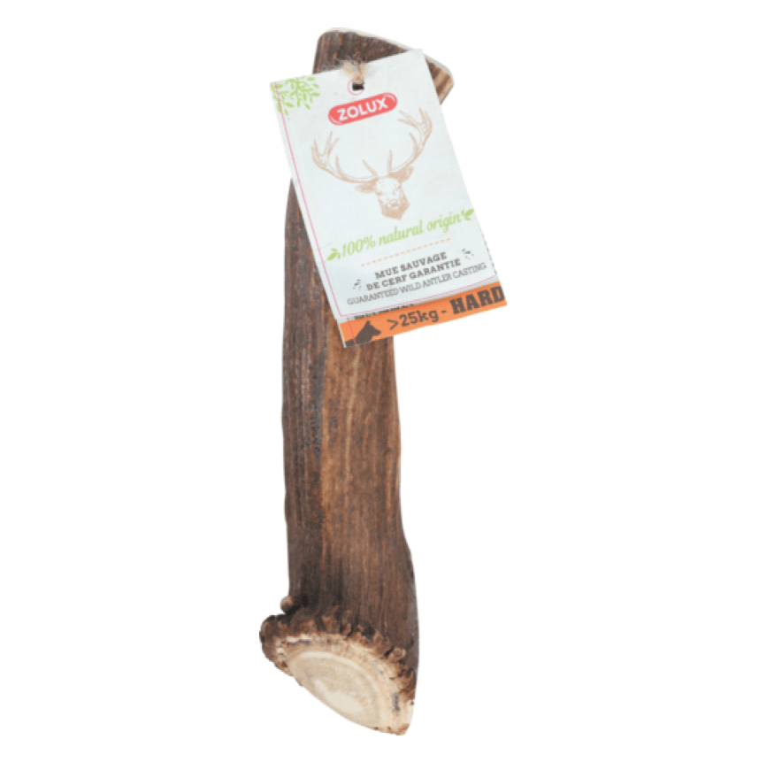 Zolux deer antlers Hard XXL - a teether for a large dog