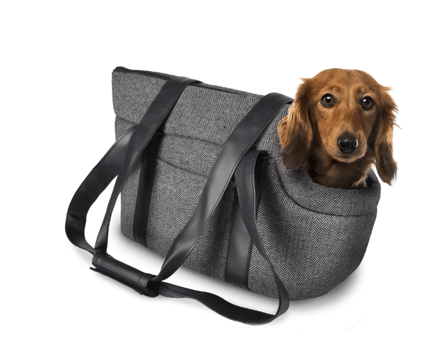 Flamingo Danira transport bag for small dogs