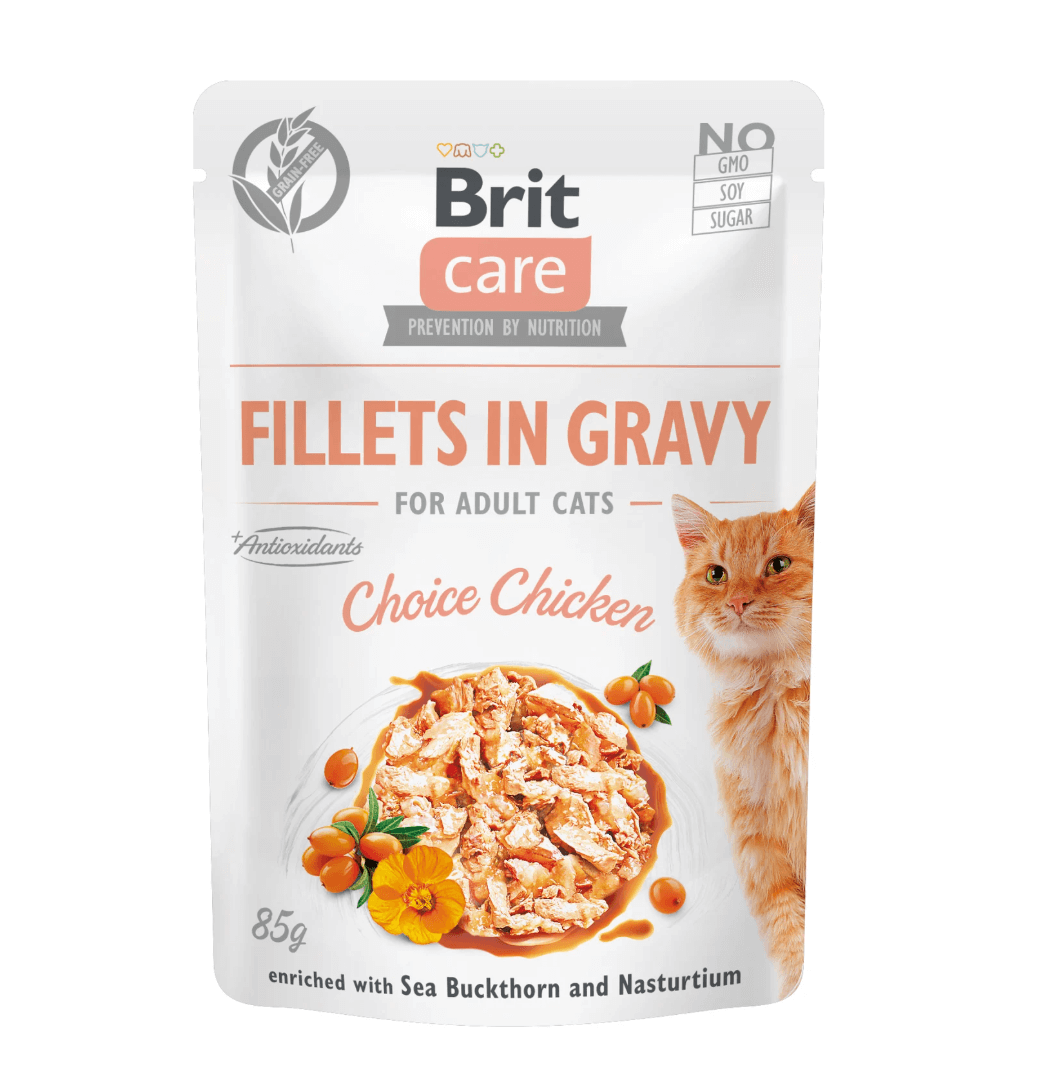 Brit cat fillets chickken + sea buckthorn 85g