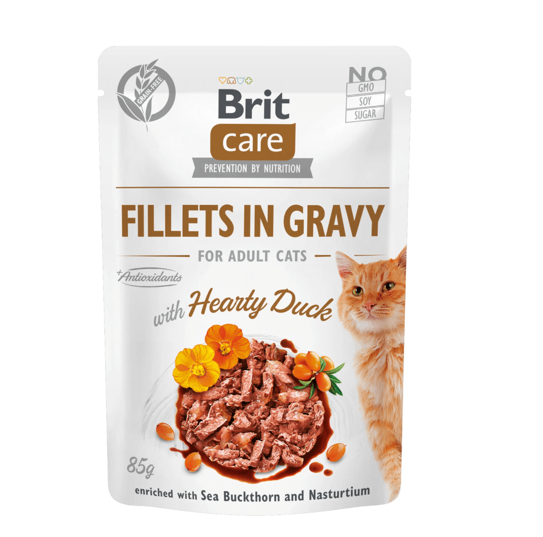 Brit cat files duck + sea buckthorn 85g