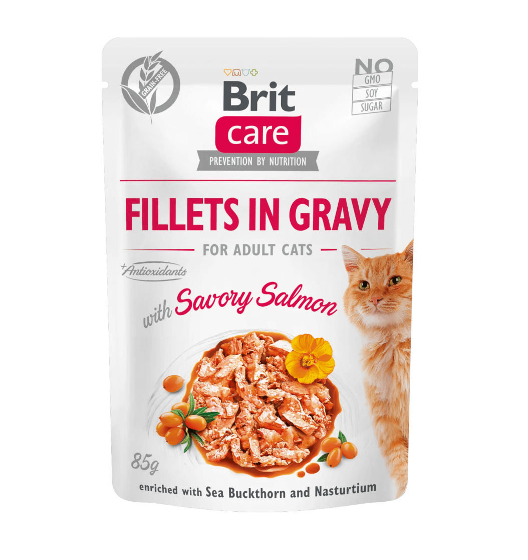 Brit cat fillets salmon + sea buckthorn 85g