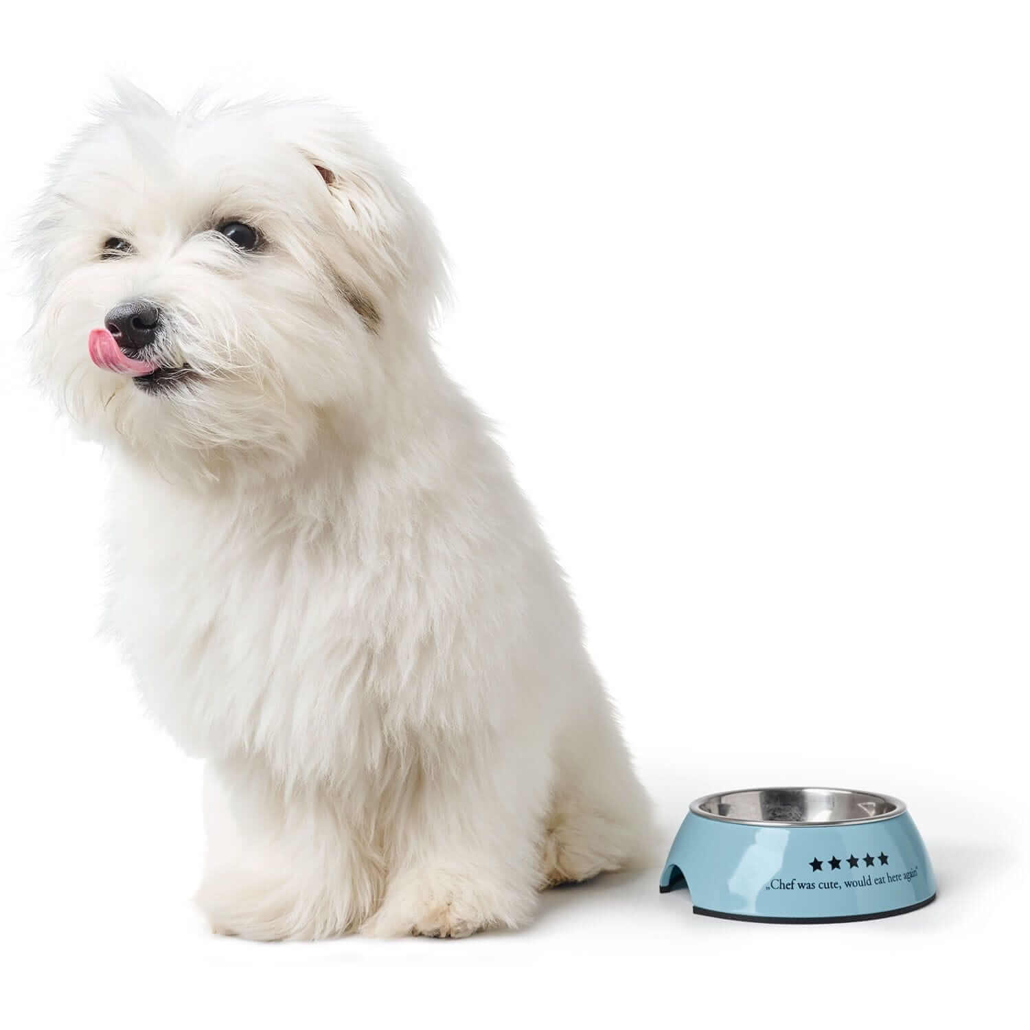 Hunter Mayfair Blue Dog Bowl - Melamine