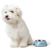 Hunter Mayfair Blue Dog Bowl - Melamine