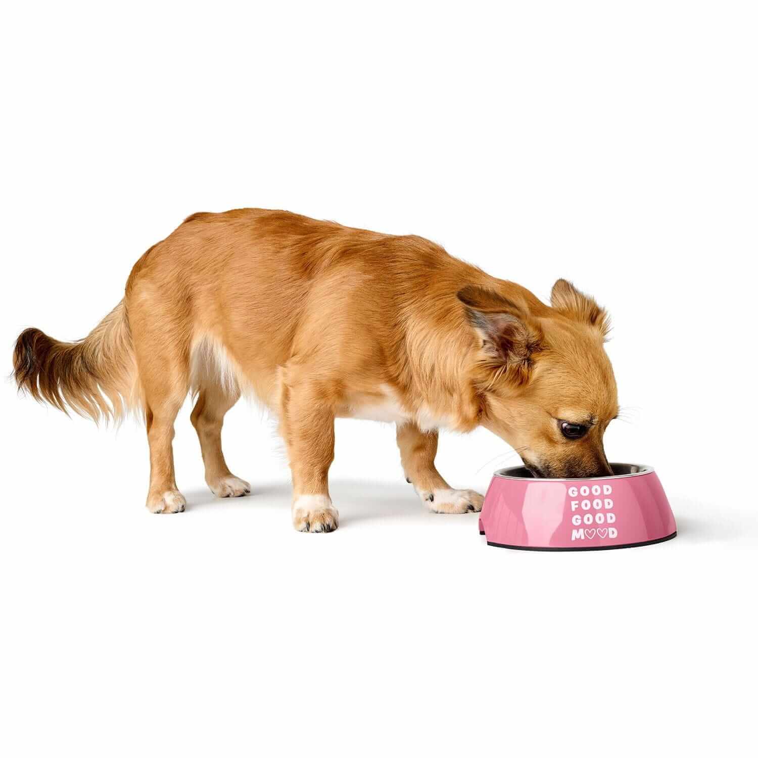 Hunter Chester Bowl Pink - Melamine, Non-Slip