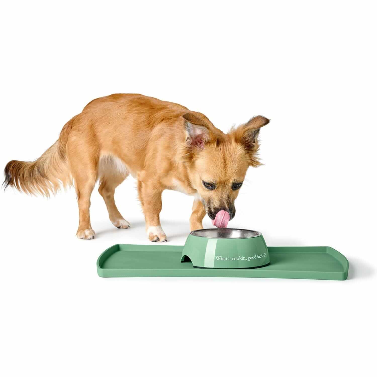 Hunter Kington Green Bowl – Stylish and Non-Slip