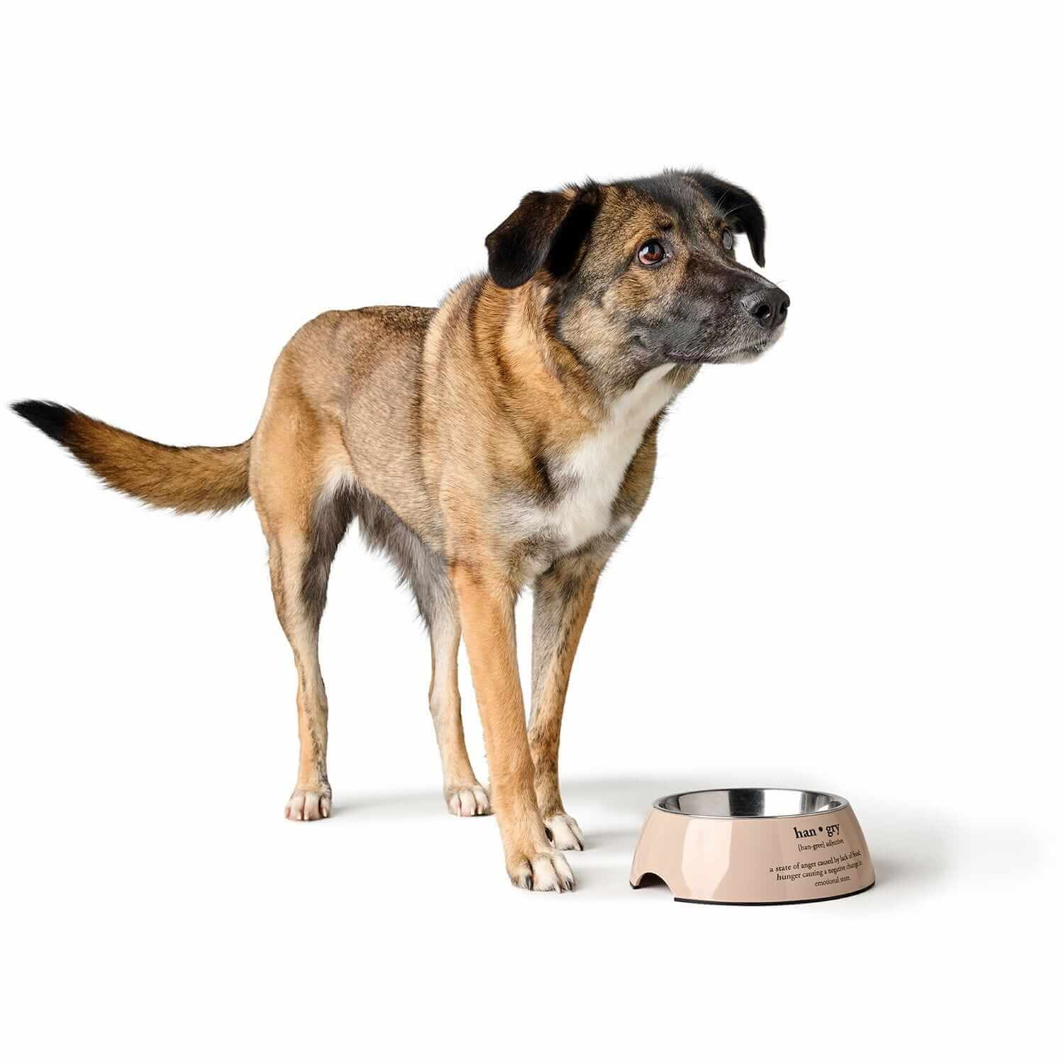 Hunter Luton Beige Bowl – Stylish and Non-Slip