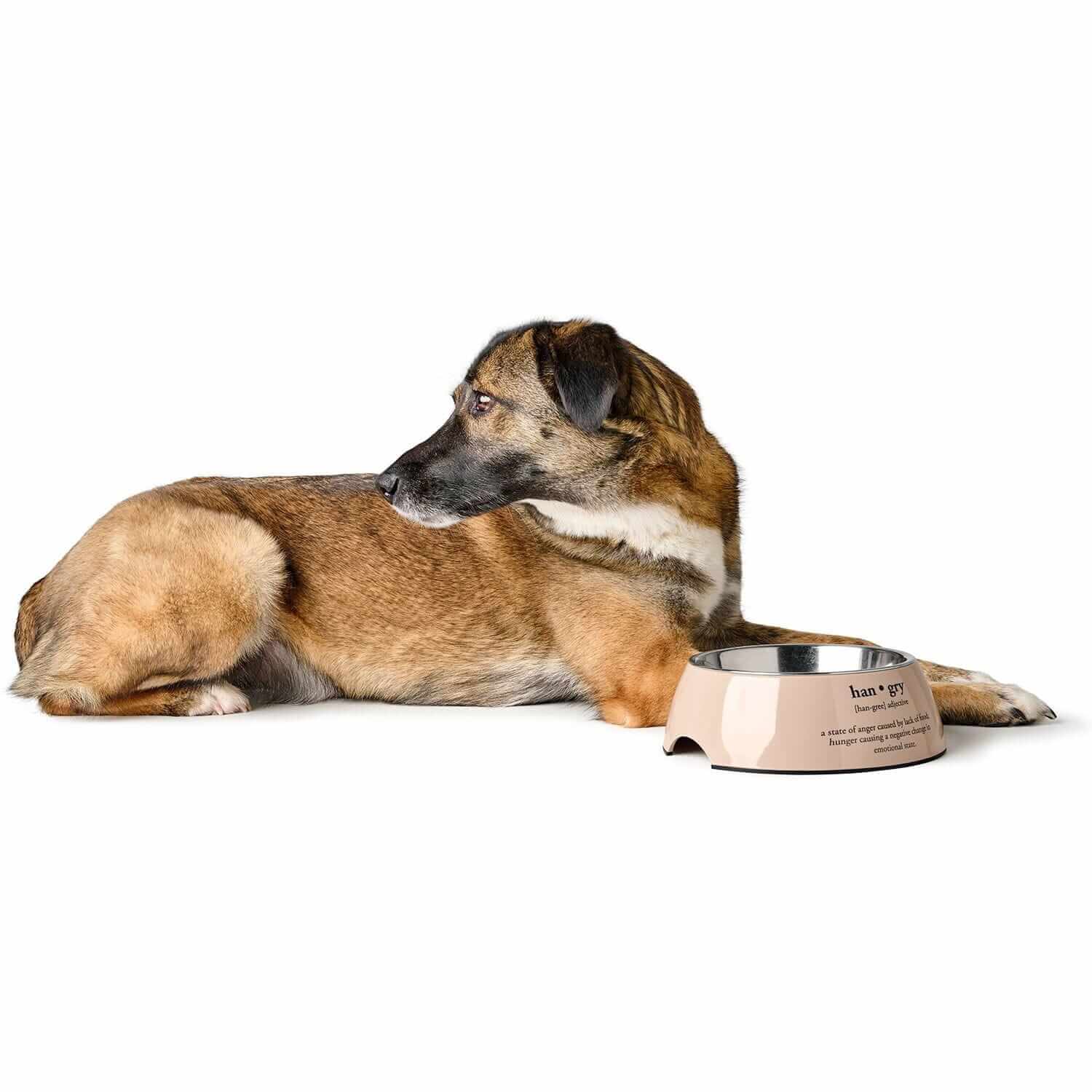 Hunter Luton Beige Bowl – Stylish and Non-Slip