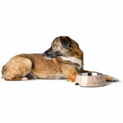 Hunter Luton Beige Bowl – Stylish and Non-Slip