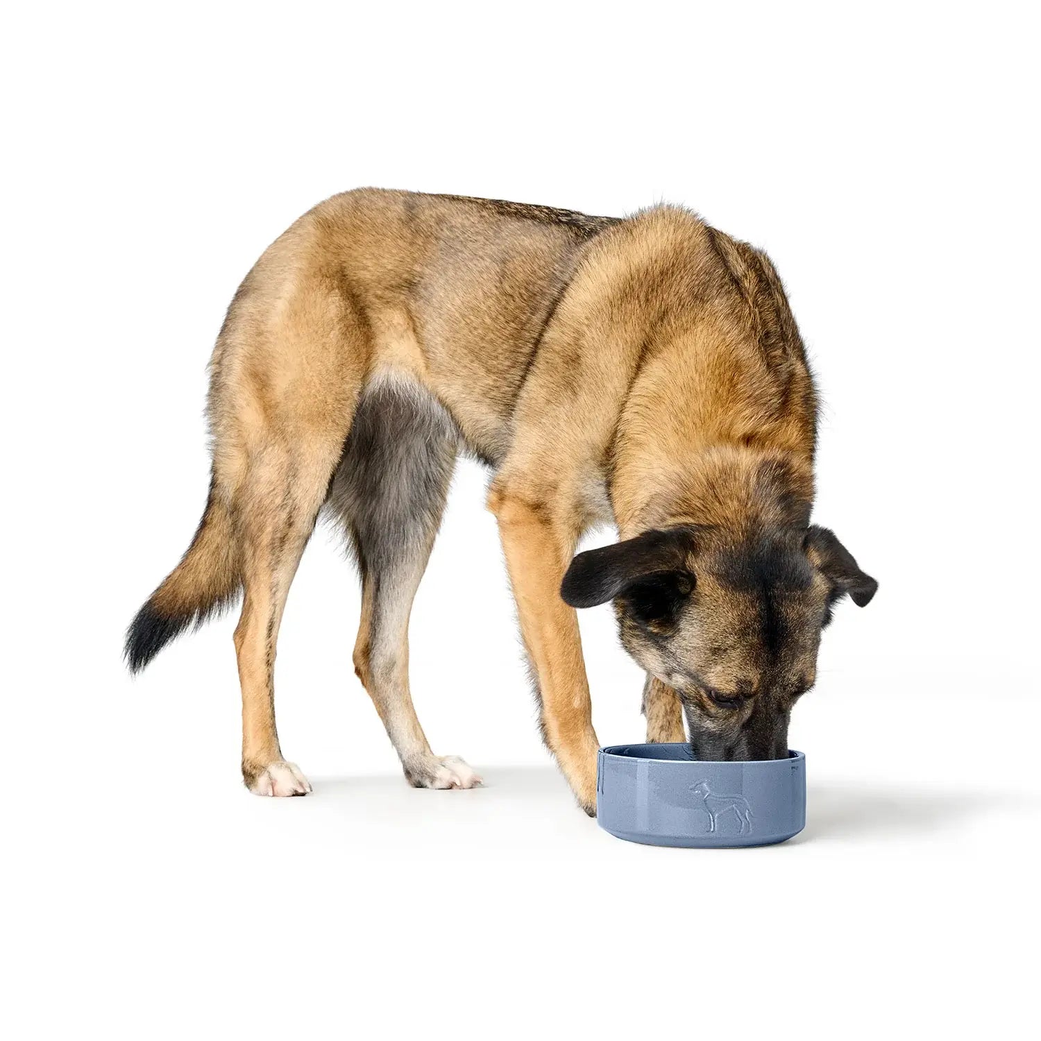 Hunter Ceramic Bowl for Dog Osby - elegant style